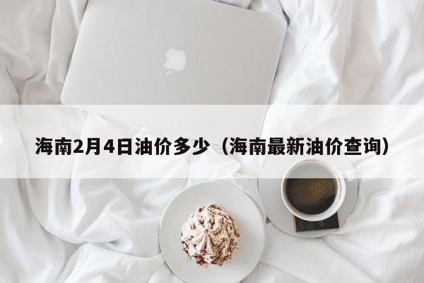 海南2月4日油价多少（海南最新油价查询）