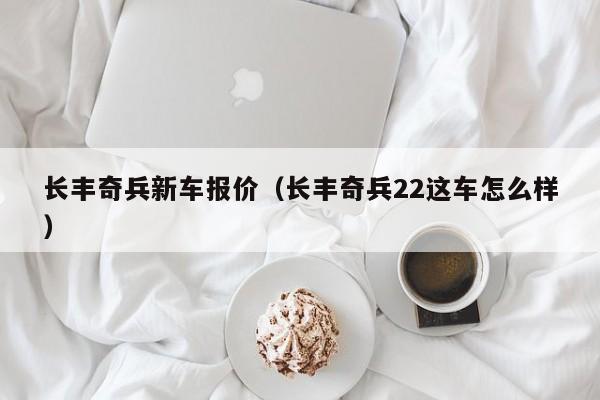 长丰奇兵新车报价（长丰奇兵22这车怎么样）
